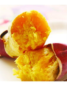 泉城烤薯加盟詳解 費用、總部及地瓜坊餐飲管理分析